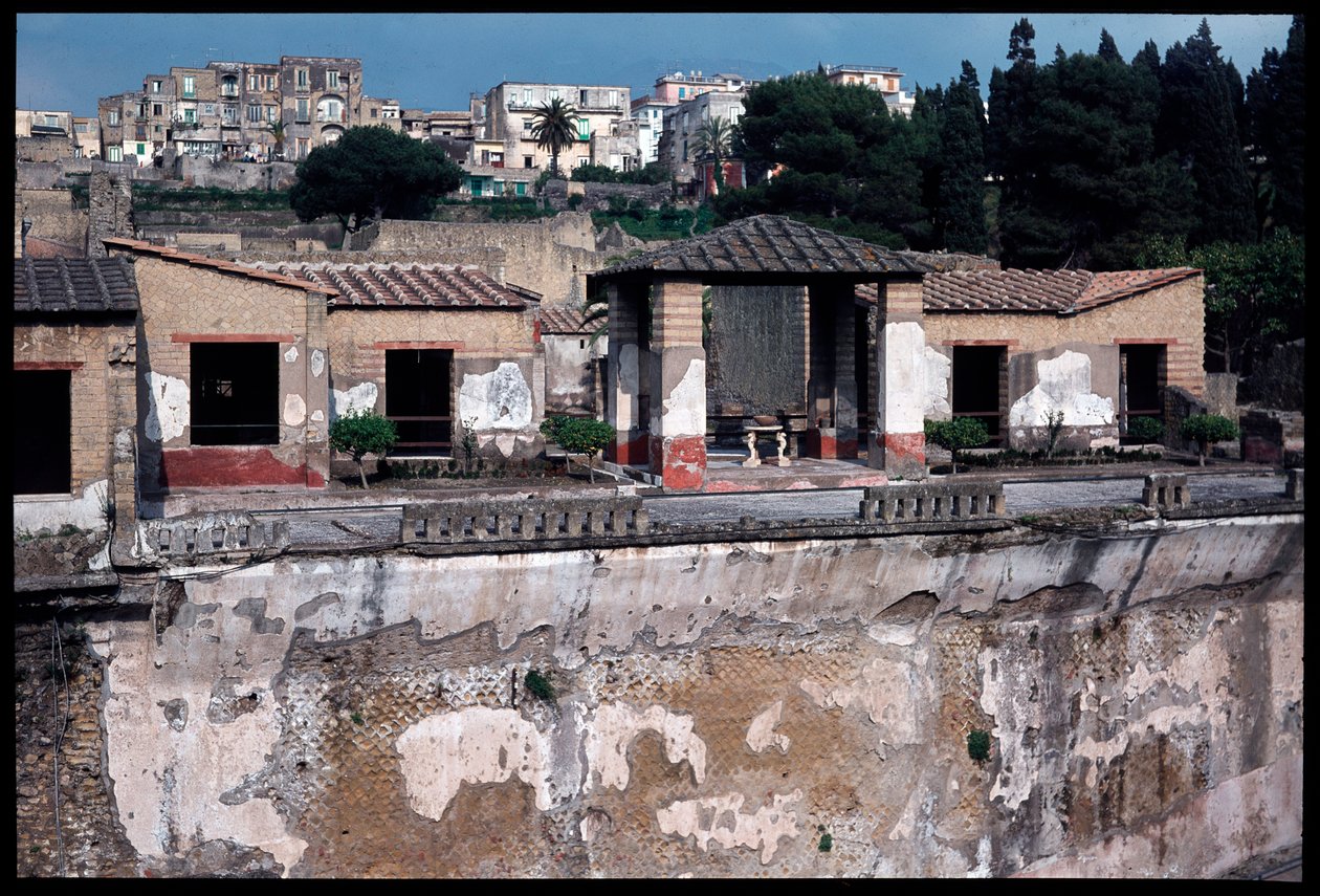 Casa dei cervi，公元前 5 世纪至公元 1 世纪 作者 罗马罗马