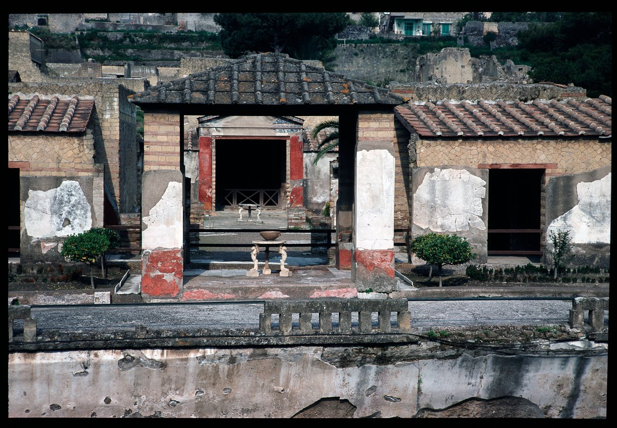 Casa dei cervi，公元前 5 世纪至公元 1 世纪 作者 罗马罗马