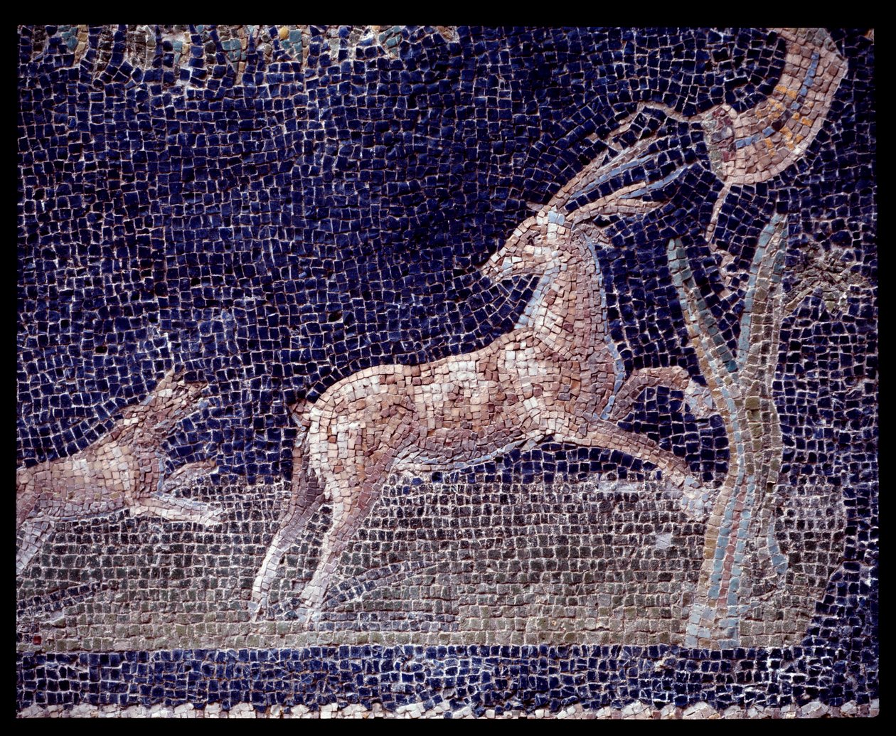 公元前 5 世纪至公元 1 世纪 casa di Nettuno e Anfitrite 的 nymphaeum 墙壁马赛克细节 作者 罗马罗马