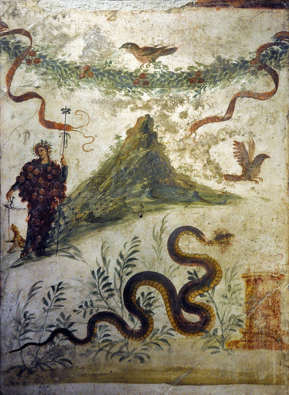 Dionysos vetu 葡萄串矗立在维苏威山前 - 庞贝壁画，casa diel centenario（百周年之家） - 那不勒斯，国家考古博物馆 作者 罗马罗马