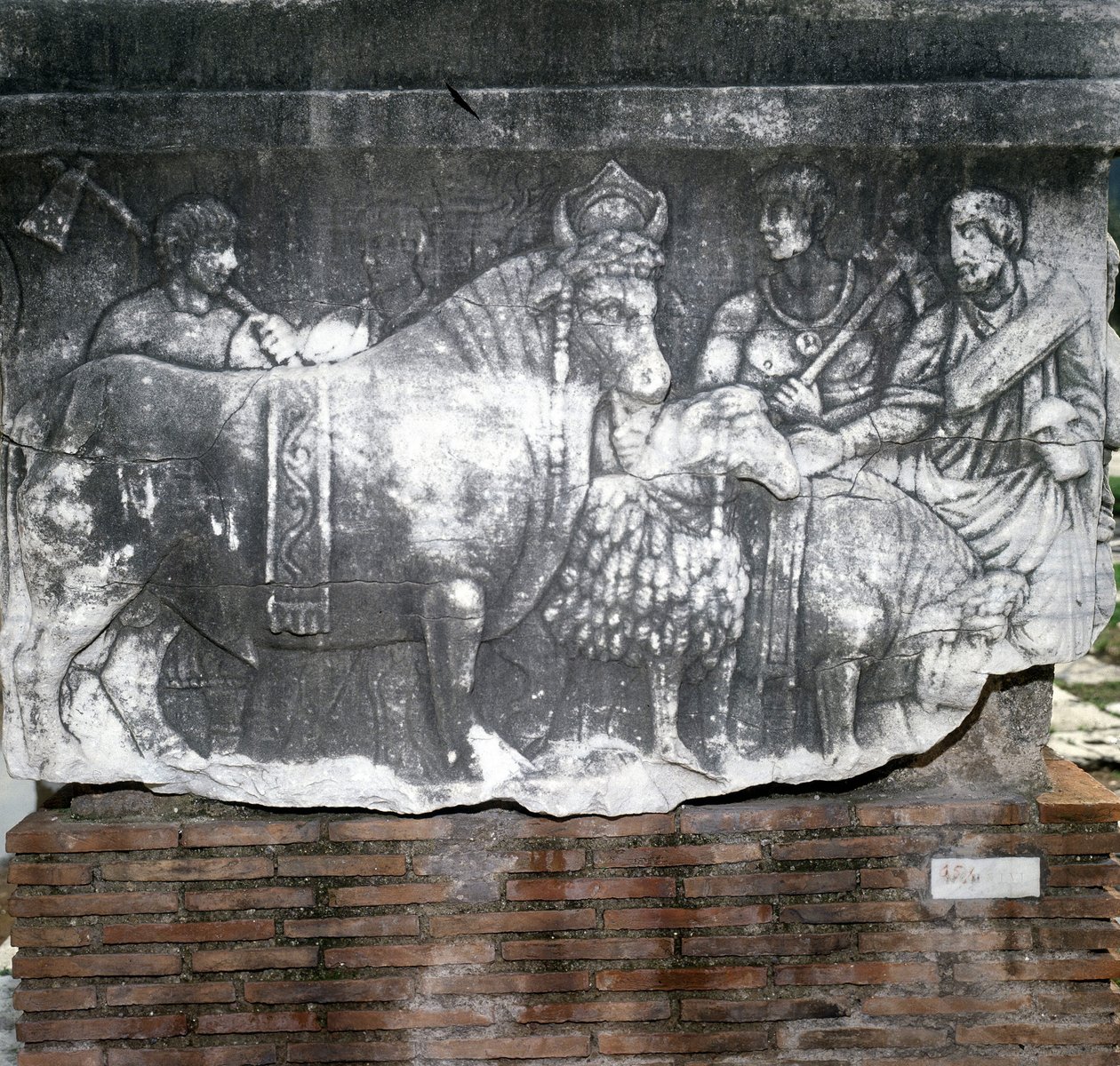 Foro Romano：Suovetaurile（牺牲一头猪、一头公羊和一头公牛）。 罗马 作者 罗马罗马