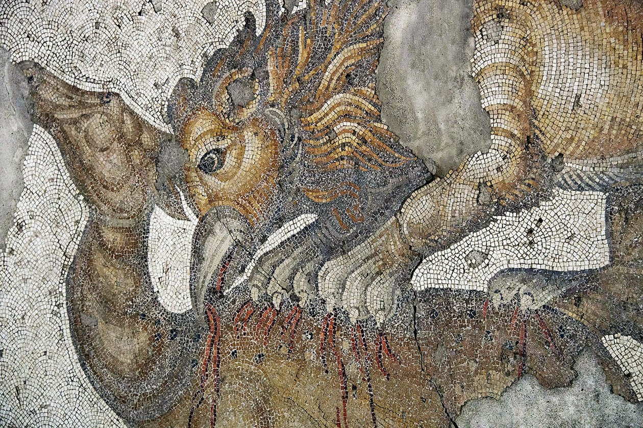 描绘狮鹫攻击鹿的马赛克，伊斯坦布尔苏丹艾哈迈德清真寺阿拉斯塔巴扎。 作者 罗马罗马