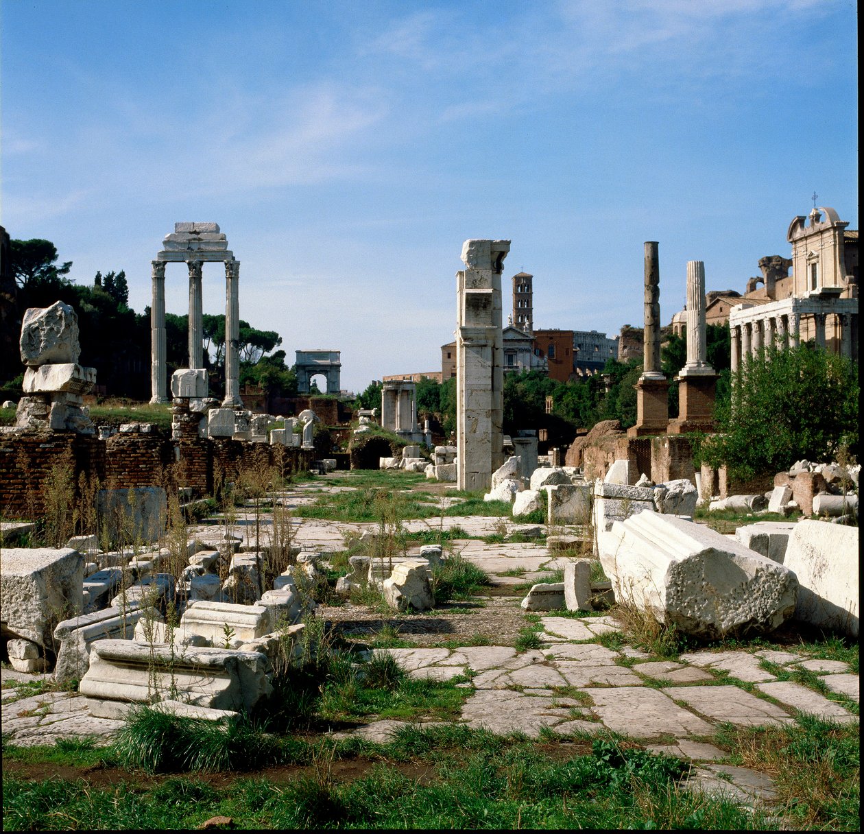 罗马艺术：论坛 (foro romano) 的景色。 罗马 作者 罗马罗马