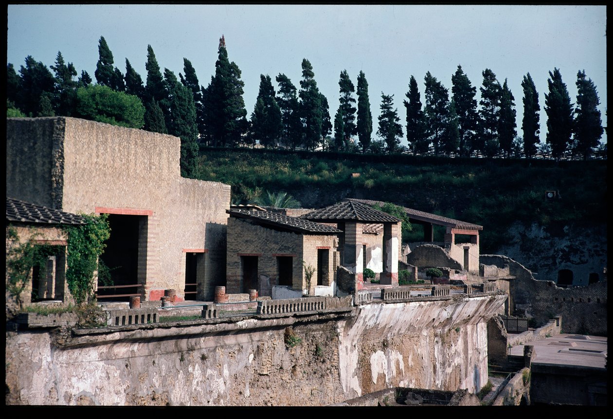 马赛克中的 casa dell