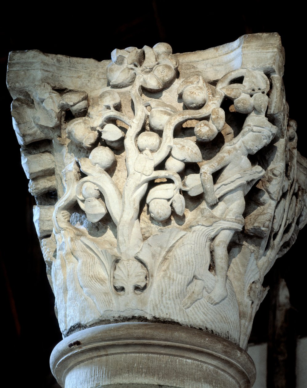 Paradise: a fig tree and an apple tree, Capital of the choir (sculpture 作者 罗马式