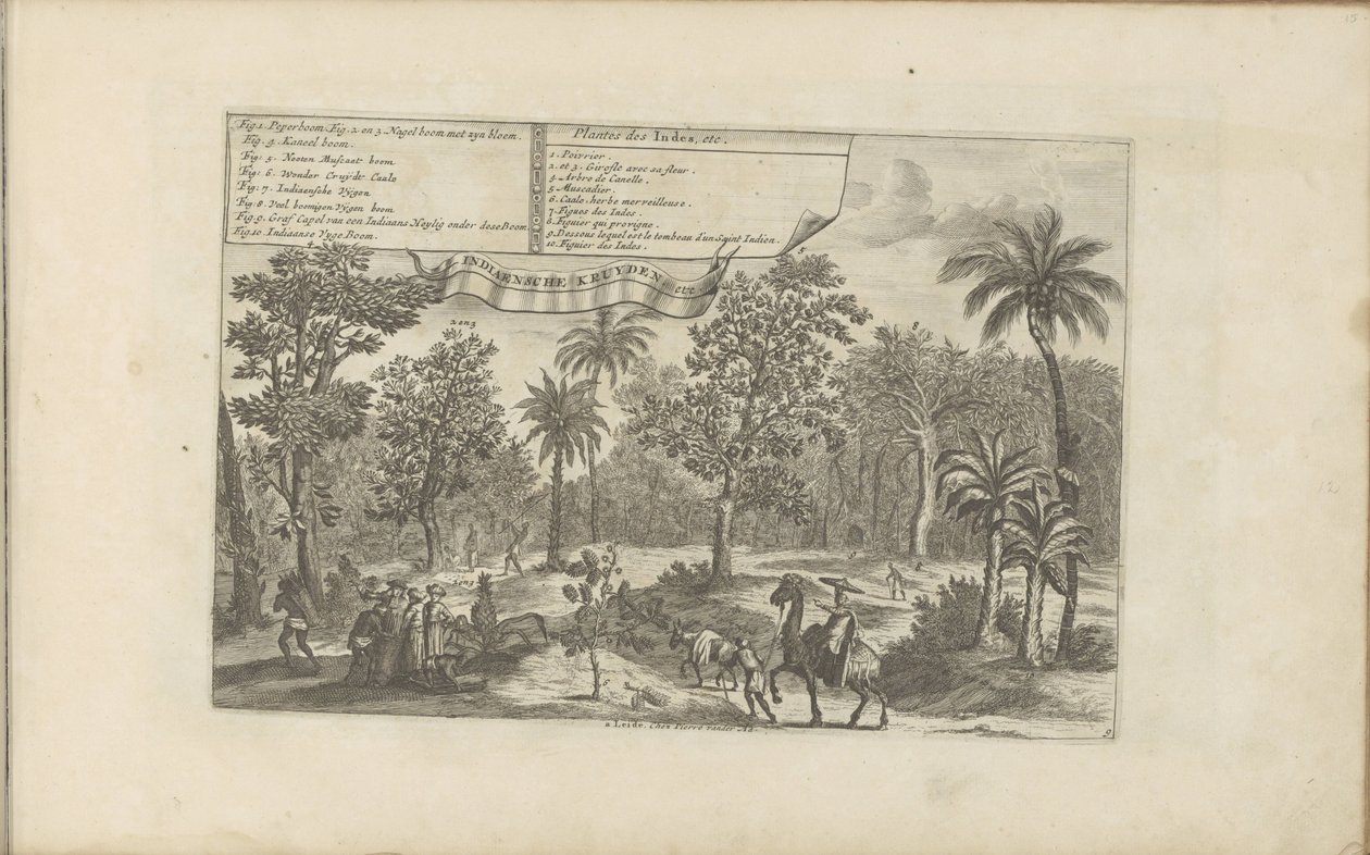 植物和标本
Plantes des Indes, etc / Indiaensche kruyden, etc （标目上的标题）
Les Indes Orientales et Occidentales et autres lieux（系列标题） 作者 罗曼·德·豪格