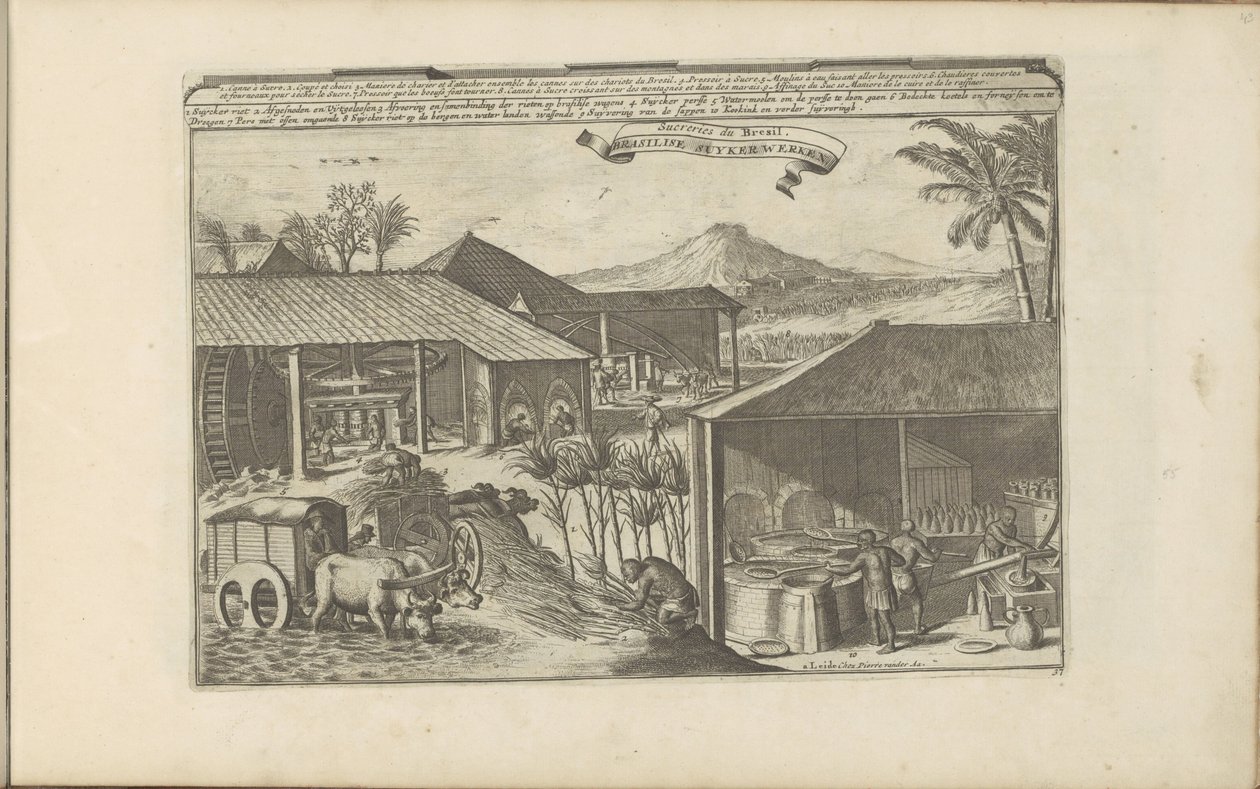 巴西的榨汁机
Brasilise Suykerwerken / Sucreries du Brasil（物上标题）
Les Indes Orientales et Occidentales et autres lieux（系列标题） 作者 罗曼·德·豪格