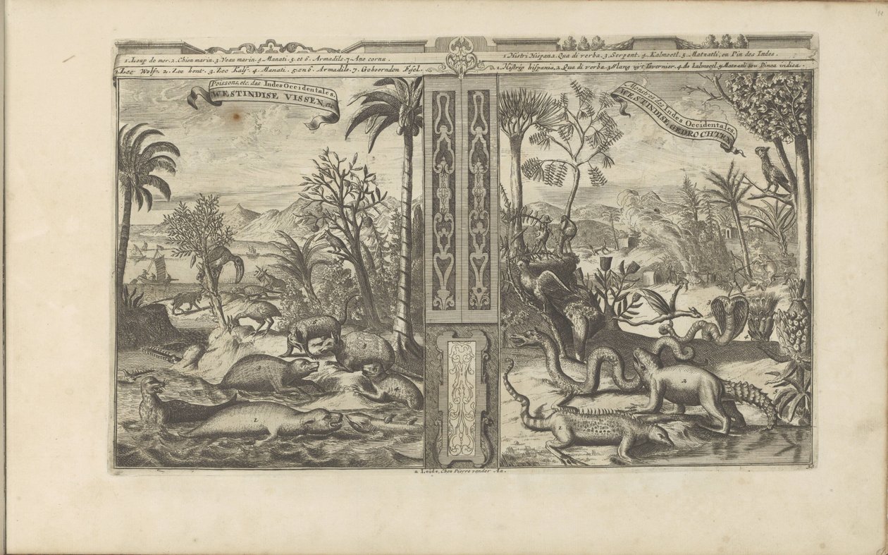 西印度群岛居民
Westindische Vissen, etc / Poissons, etc des Indes Occidentales // Westindische Gedrochten / Monstres des Indes Occidentales（物上标题）
Les Indes Orientales et Occidentales et autres lieux（系列名称） 作者 罗曼·德·豪格