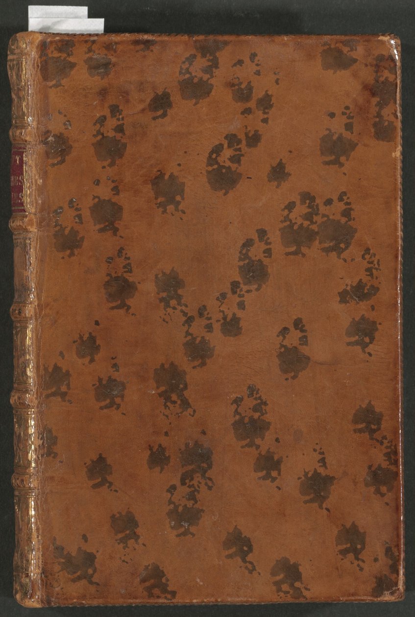 百家新闻 作者 Romeyn de Hooghe，阿诺因
