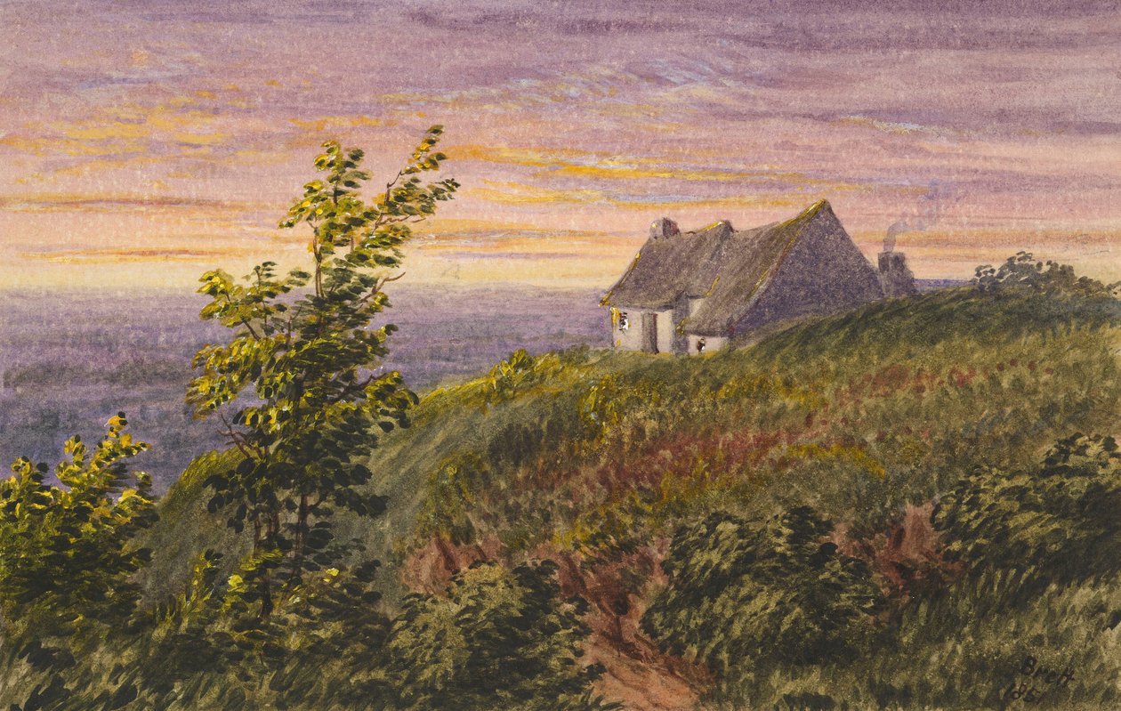 来自Bluebell Hill 作者 粉红板