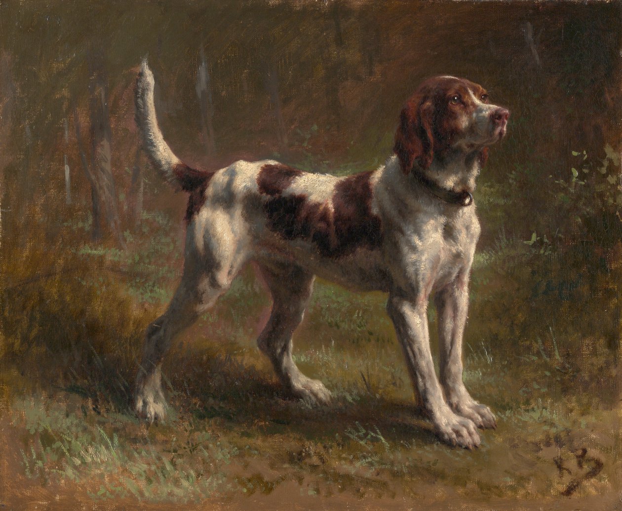 一只Limier Briquet猎犬，约1856年。 作者 粉红色的快乐