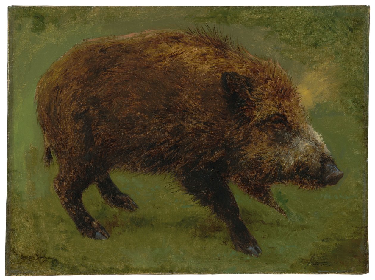 野猪（布面油画） 作者 粉红色的快乐