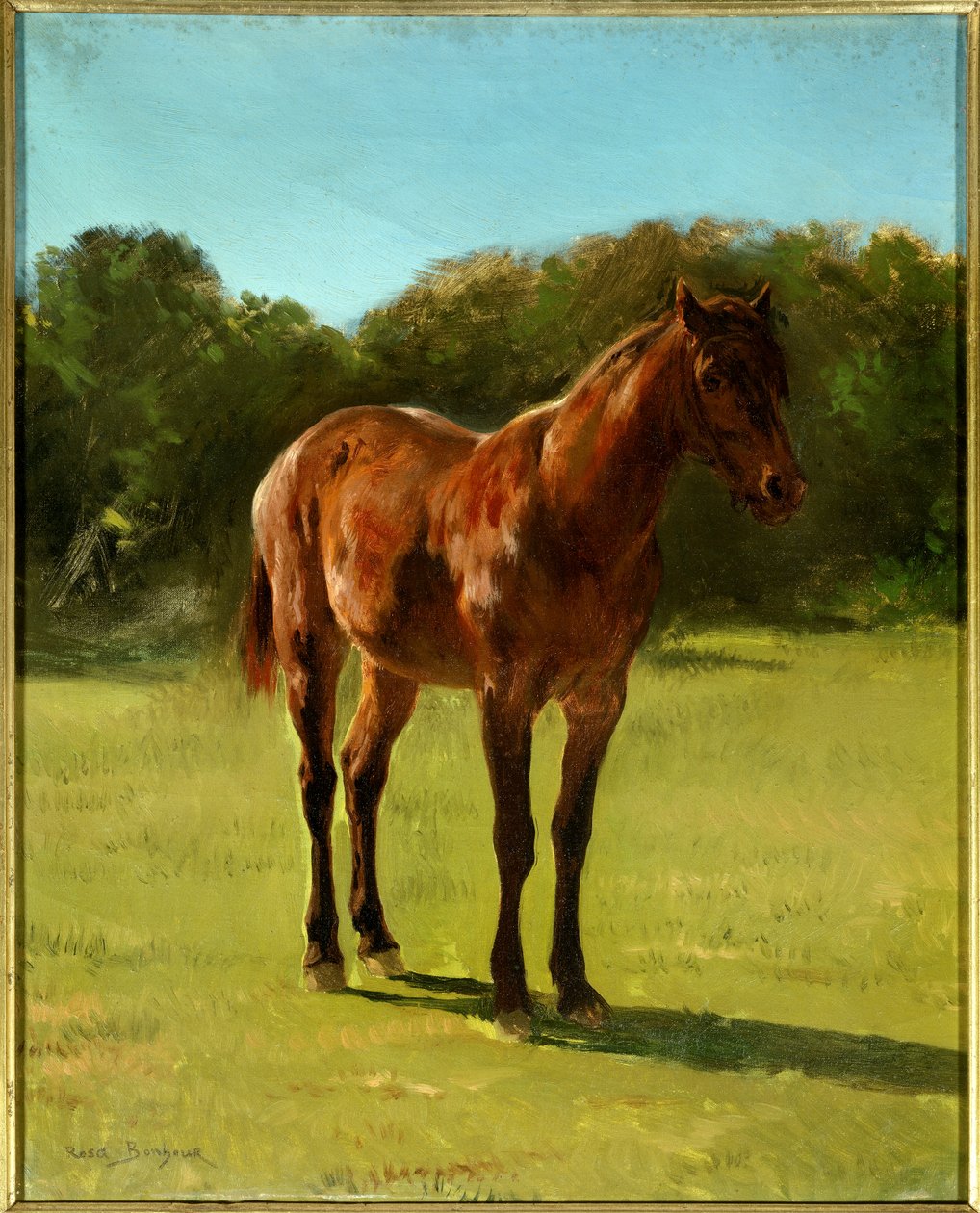 马白樱桃研究。 Rosa Bonheur (1822-1899) 的绘画 作者 粉红色的快乐