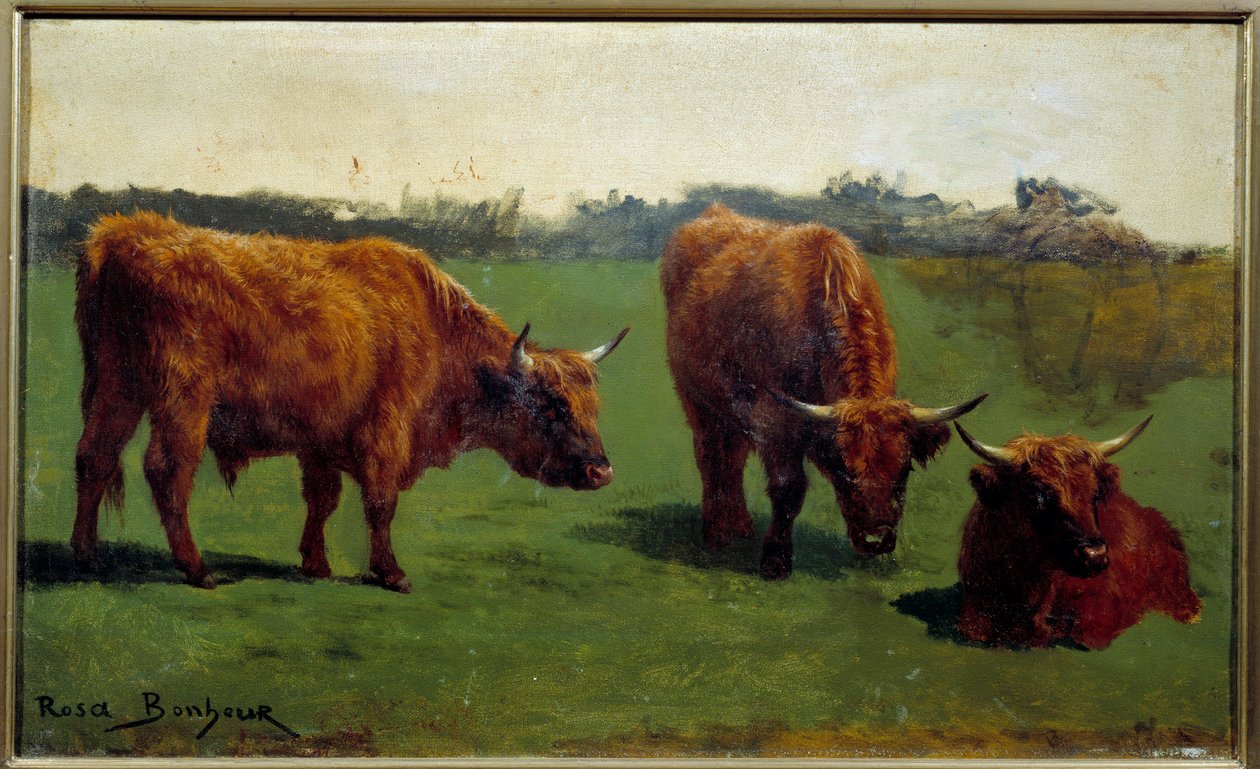 三项关于红牛肉的研究。 Rosa Bonheur (1822-1899) 的绘画 作者 粉红色的快乐