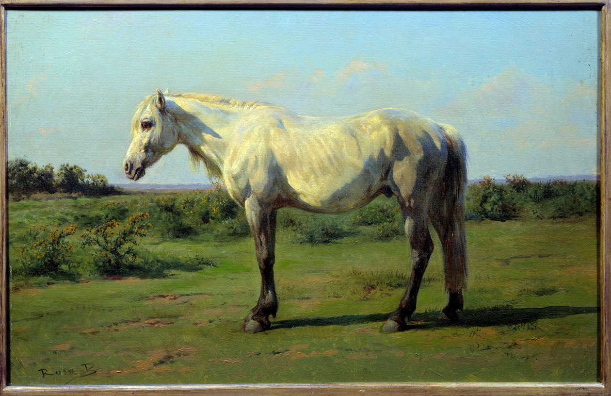白马在前。 Rosa Bonheur (1822-1899) 的绘画 作者 粉红色的快乐
