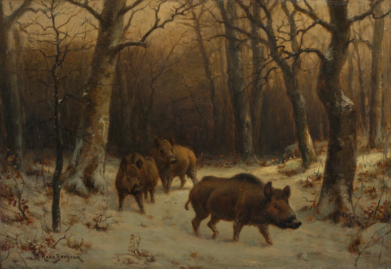 雪中的野猪，c。 1872-1877年。 作者 粉红色的快乐