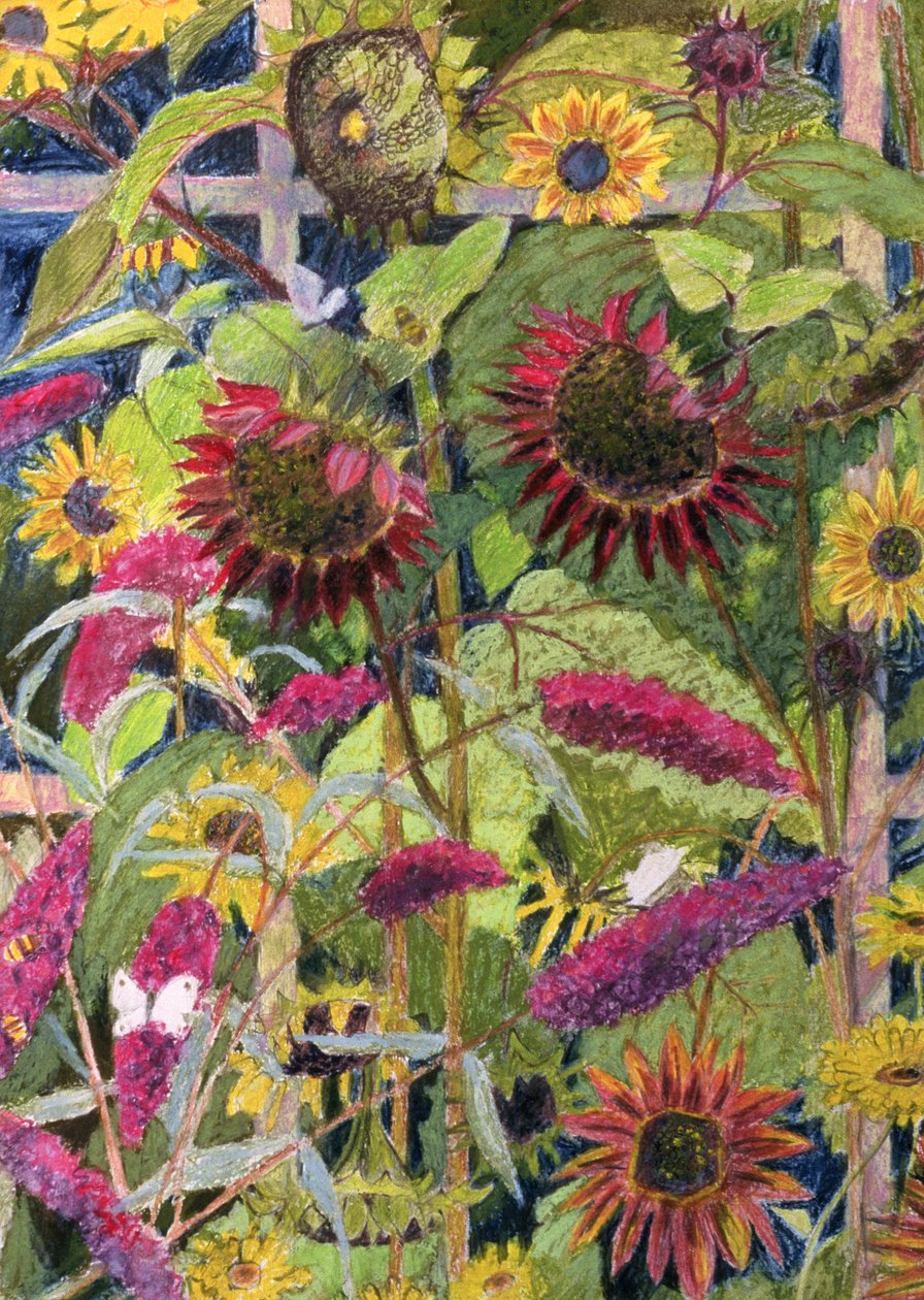 太阳之花（纸上的油画和蜡笔） 作者 罗莎莉·布洛克（Rosalie Bullock）