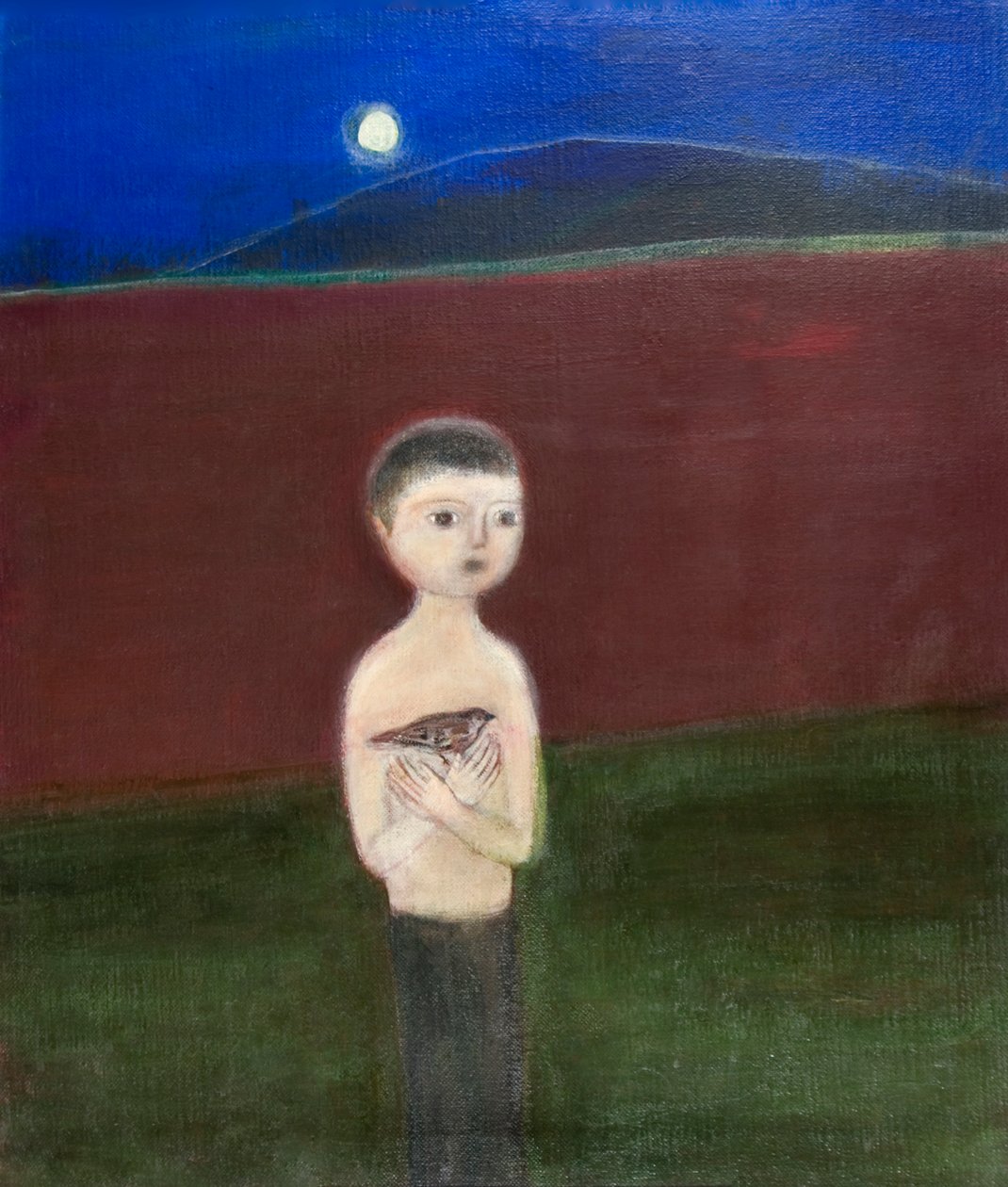 男孩和麻雀，2011年 作者 罗娅·萨拉里（Roya Salari）
