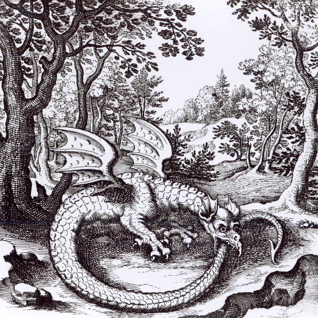 森林中的龙，来自Basil Valentine的&39;Musaeum Hermeticum Reformatum&39;，1678年 作者 俄语学校