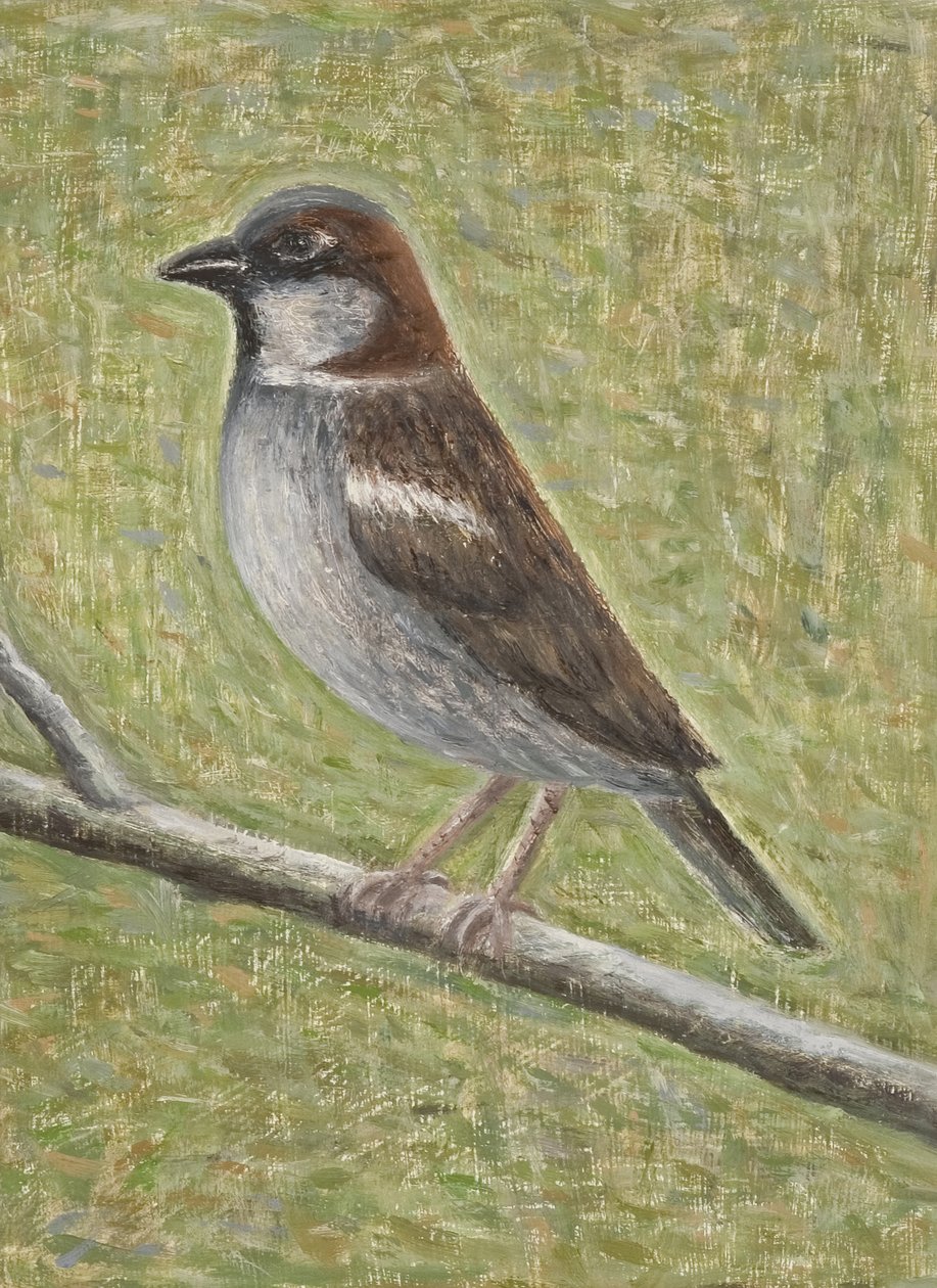 House Sparrow，2008（木材油） 作者 露丝·艾迪纳尔