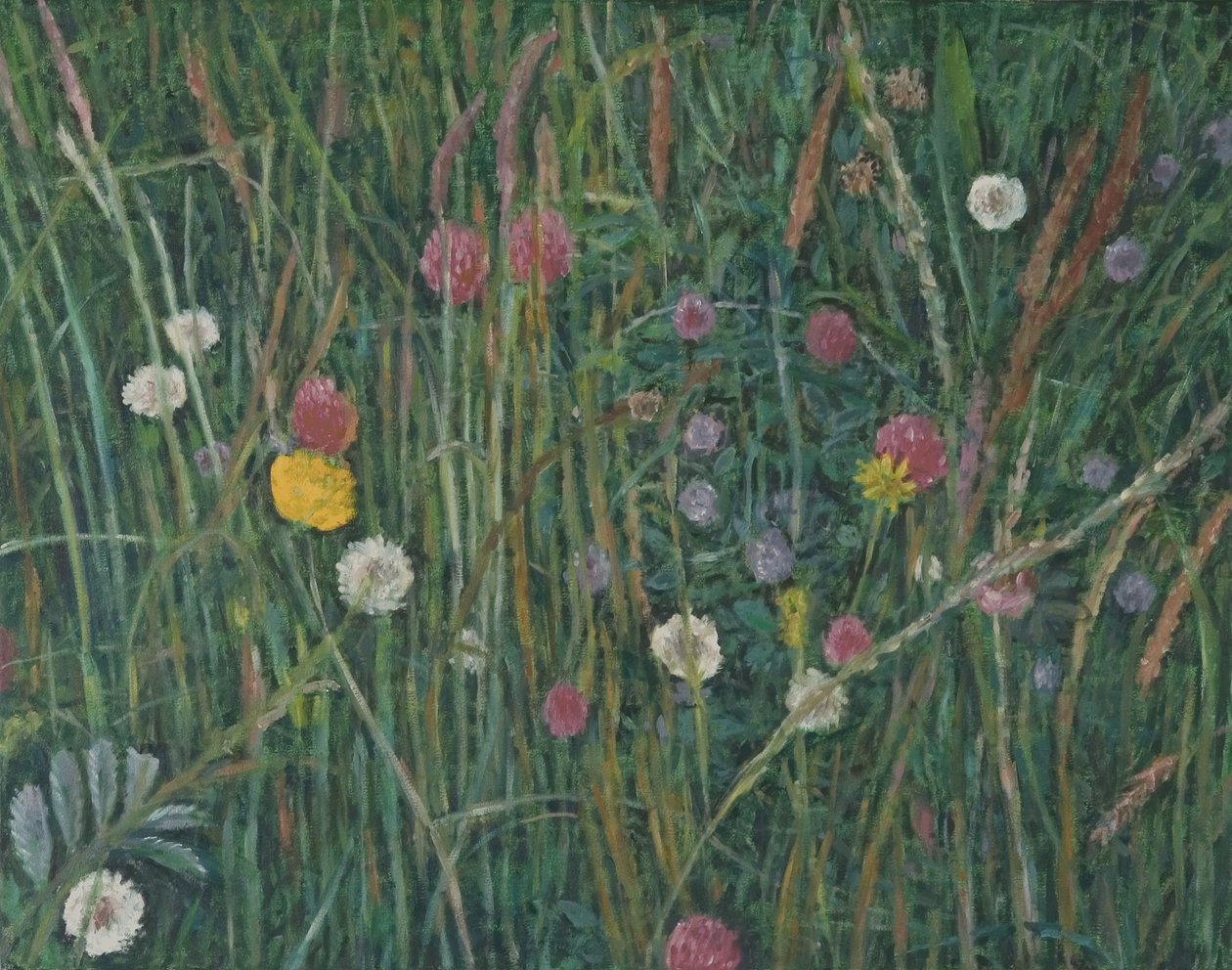 马查尔的植物，2008年 作者 露丝·艾迪纳尔