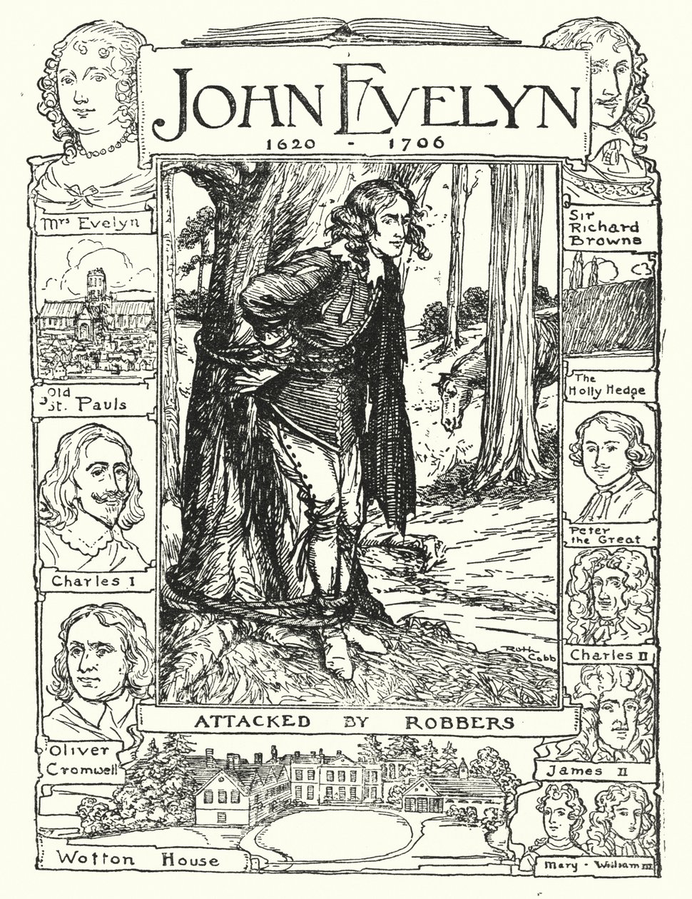  作者 露丝·科布