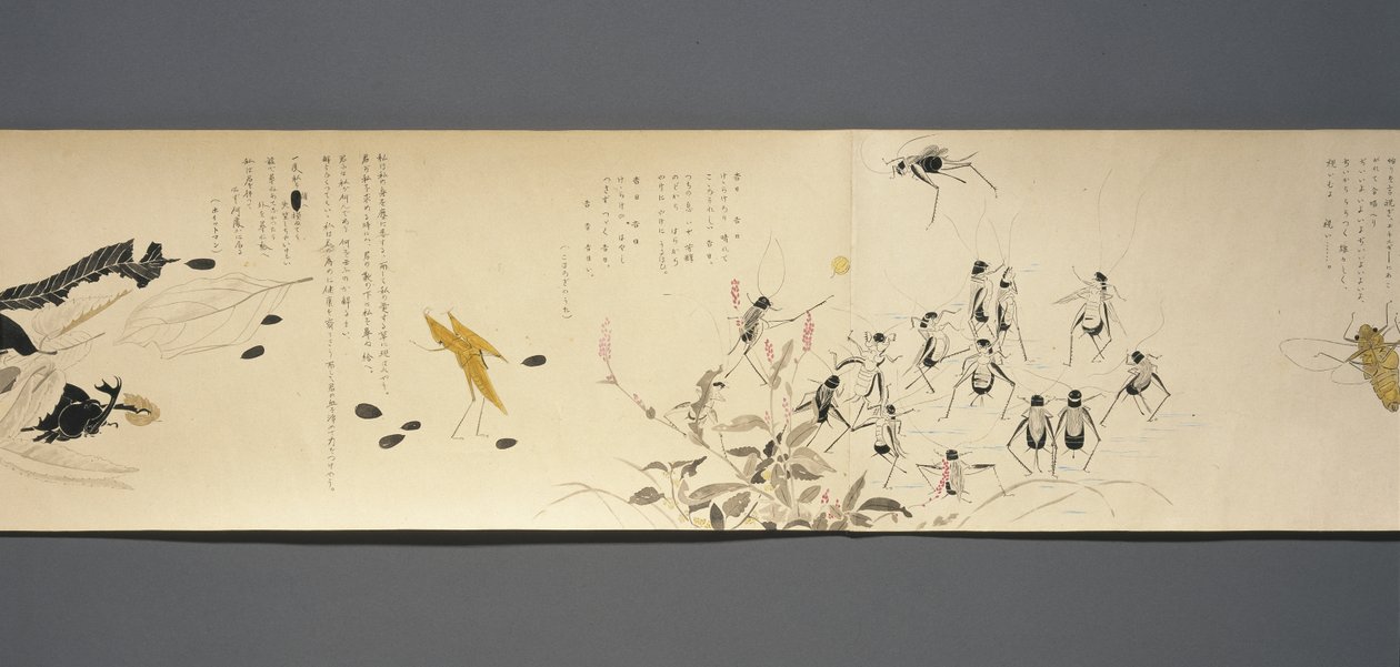 野生动物朋友（Yasei no Tomo），大正时代，大正7年，c.1918（墨水和wc在编织用云母装饰的纸上） 作者 川上凉香