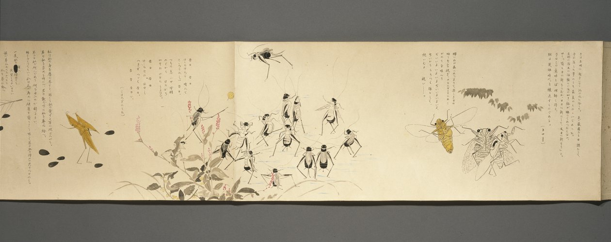 野生动物朋友（Yasei no Tomo），大正时代，大正7年，c.1918（墨水和wc在编织用云母装饰的纸上） 作者 川上凉香