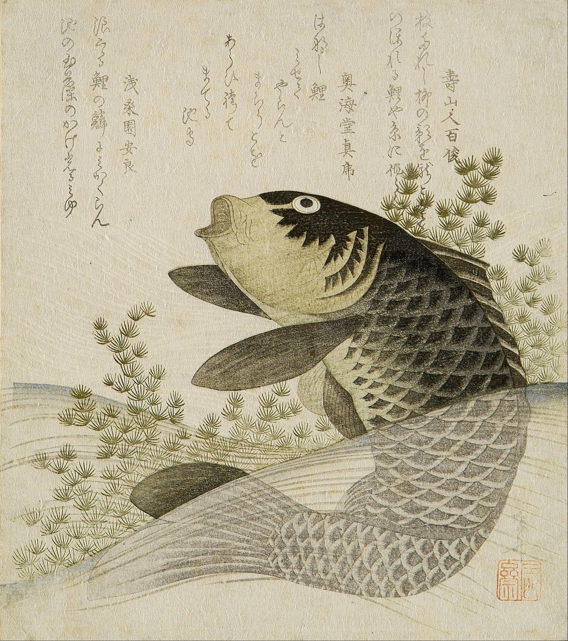 池塘植物之间的鲤鱼 作者 龙宫京心斋