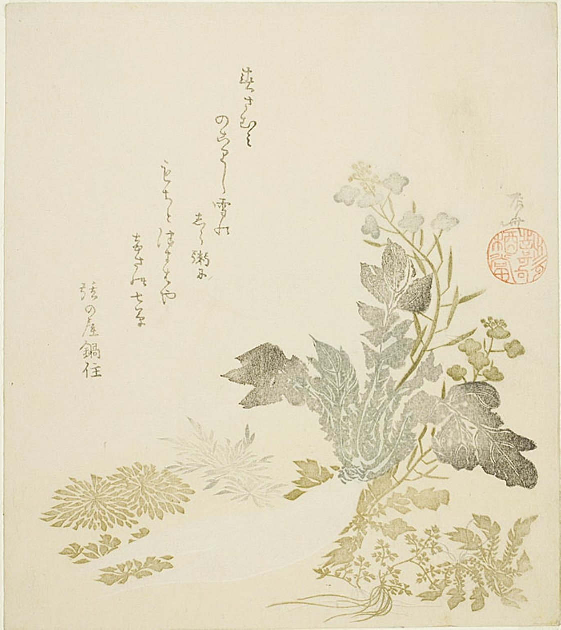 大萝卜、菊花和蕨类植物 作者 龙宫京心斋