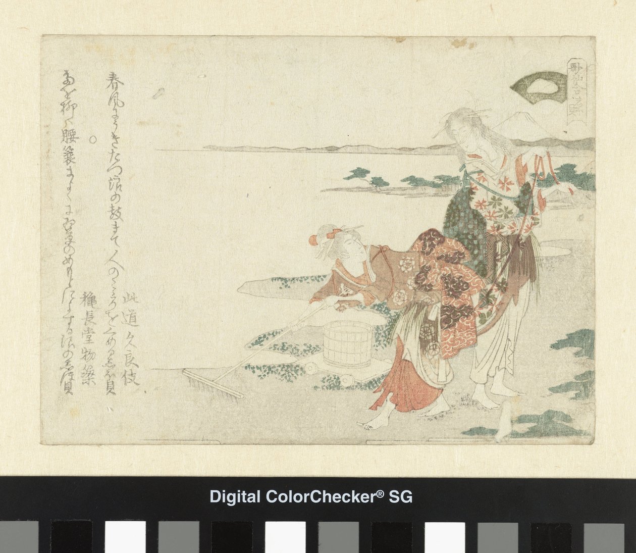 盐贝
盐贝
诗歌比较（系列名称）
Kasen awase（物品上的系列名称） 作者 龙宫京心斋