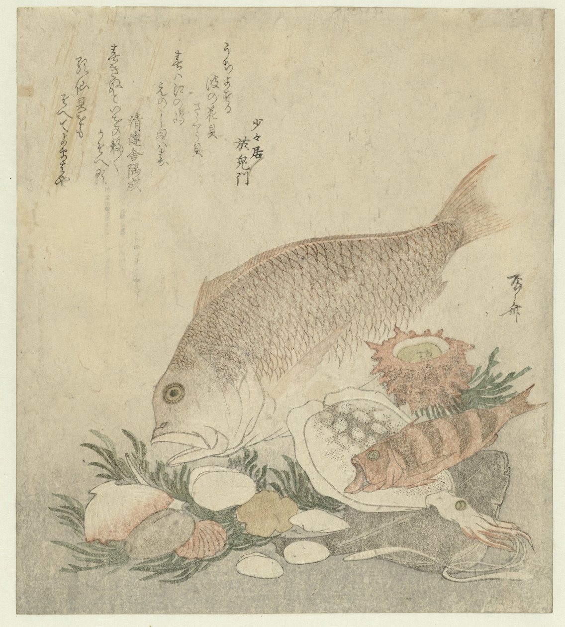 鱼和贝壳 作者 龙宫京心斋