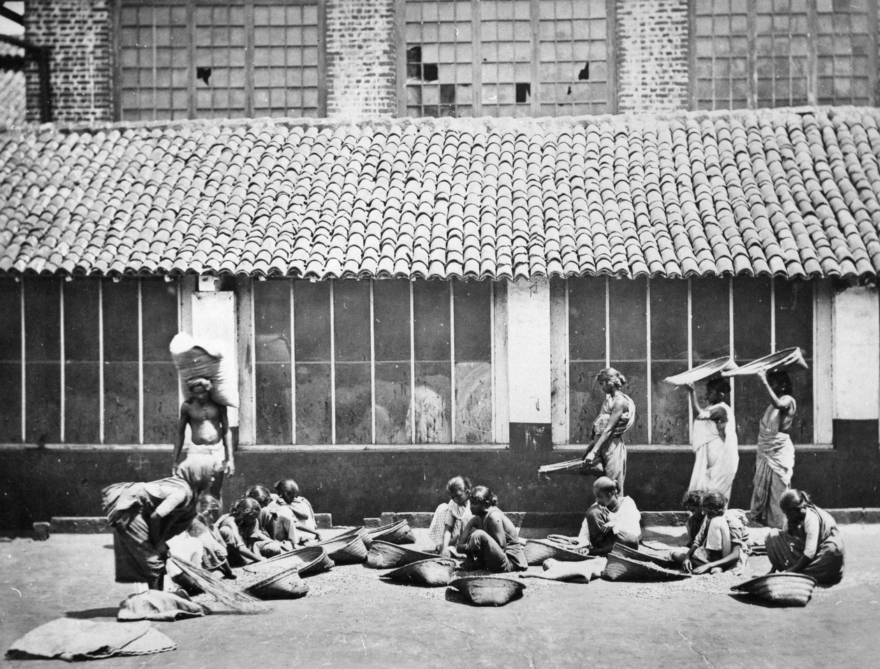 清洁和分拣咖啡，科伦坡，1870年 作者 S. and Shepherd，C.伯恩