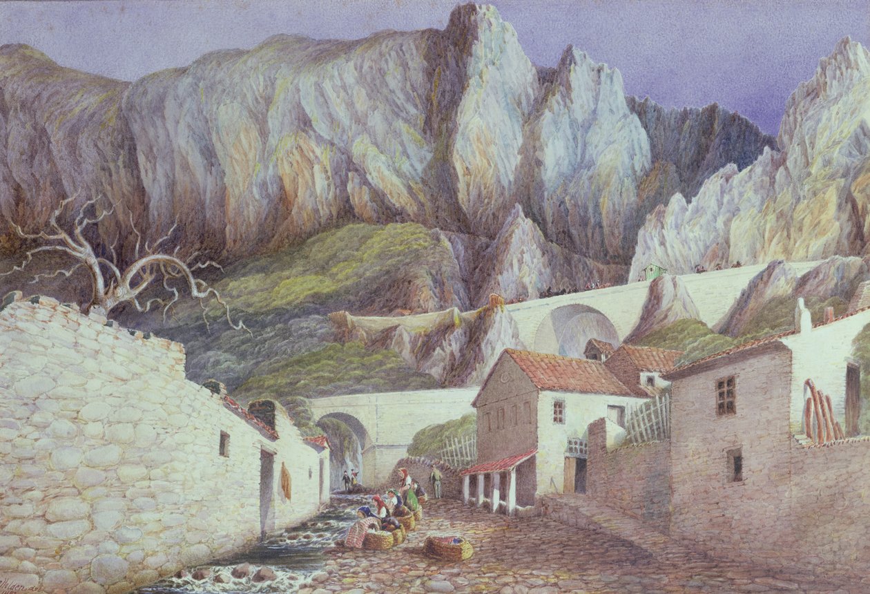 芒通的峡谷，1882年（纸上写着） 作者 霍尔顿