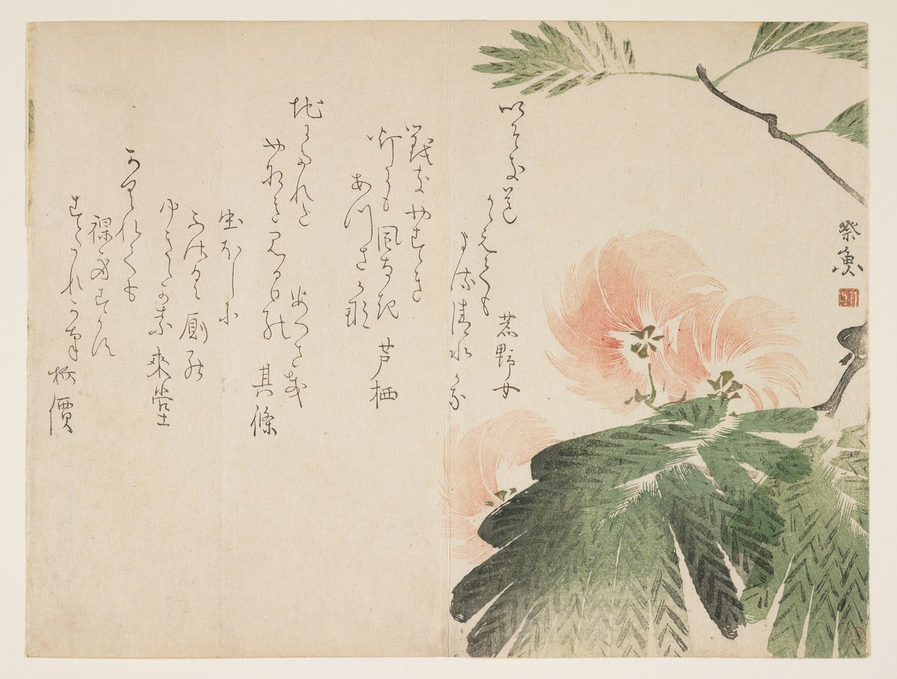 开花的丝绸树，c.1830-43（彩色木版画） 作者 西乡