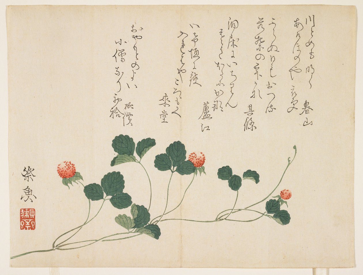 覆盆子（彩色木版画） 作者 西乡