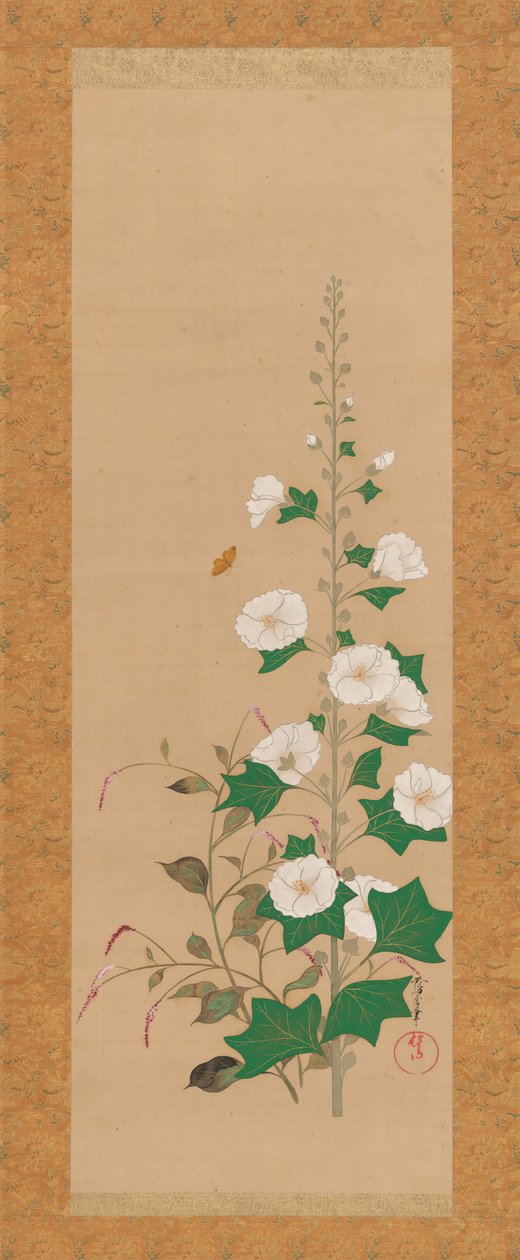 蜀葵和王子羽毛花，十九世纪初。 作者 酒井O