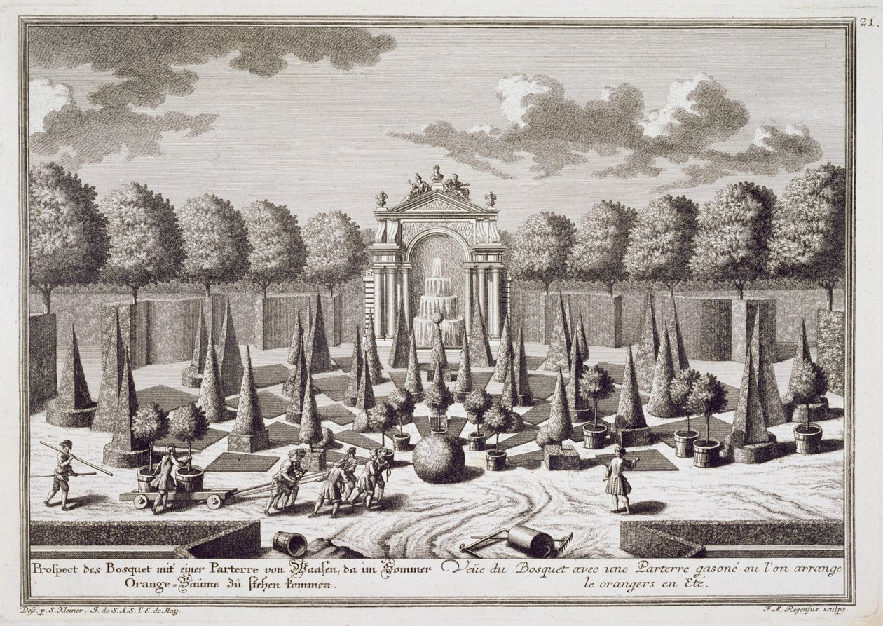 维也纳利希滕斯坦宫花园里的橘子树花坛，由Franz Michael Regenfus（1712-80）雕刻，出版于1724-37 作者 所罗门小人