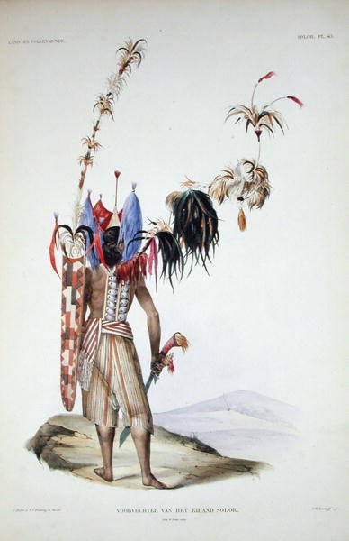 索罗尔岛的勇士，摘自 "Verhandelingen over de Natuurlijke Geschiedenis der Nederlandsche overzeesche Bezittingen"，第一卷，作者是Coenraad Jacob Temminck，由J.M. Kierdorff雕刻，1839-44年出版（彩色平印）。 作者 所罗门和布鲁宁 TC（后）穆勒