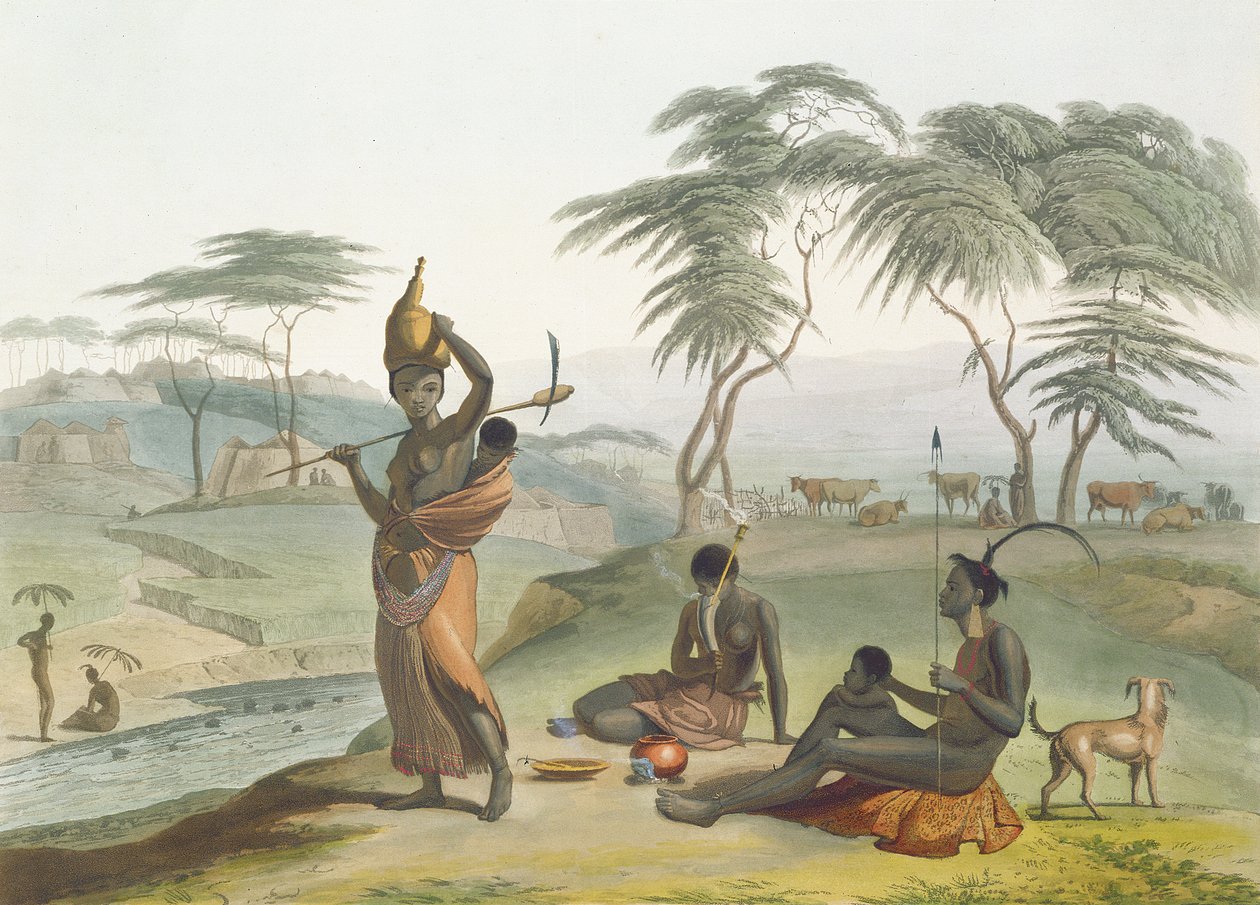 Boosh Wannahs，来自&39;非洲风景和动物&39;的第8块，由艺术家雕刻，1804（aquatint） 作者 塞缪尔·丹尼尔