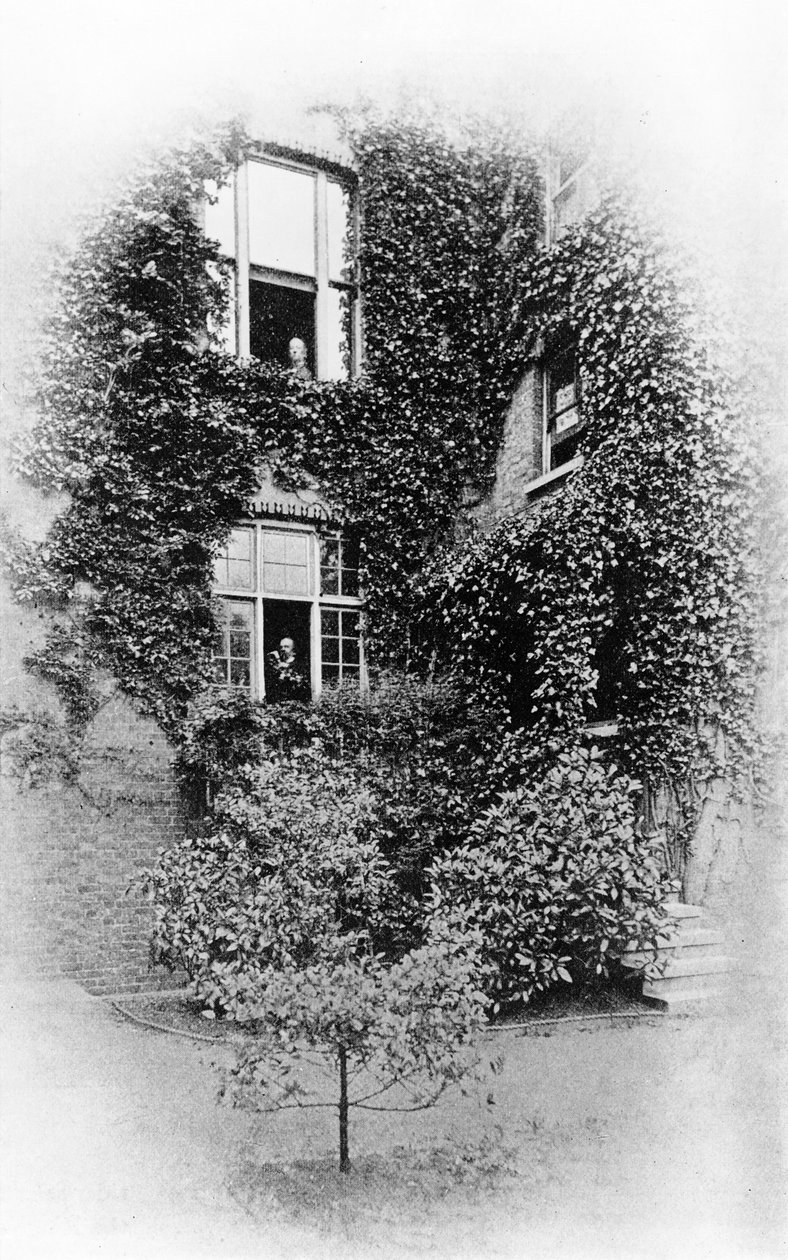 夏天在松树，Swinburnes回家在Putney，c.1900-09（bw照片） 作者 塞缪尔·詹姆斯·普尔