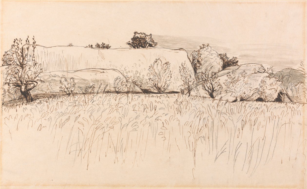 玉米田与谷仓，肖勒姆 作者 塞缪尔·帕尔默（Samuel Palmer）