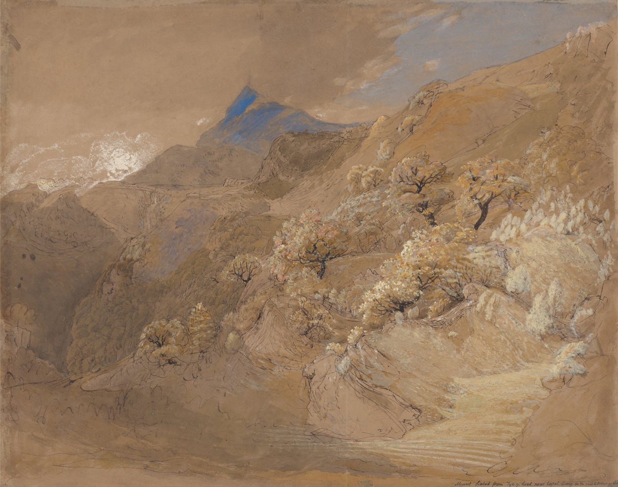 来自Tyn-y-Coed的Mount Siabod在Capel Curig附近 作者 塞缪尔·帕尔默（Samuel Palmer）