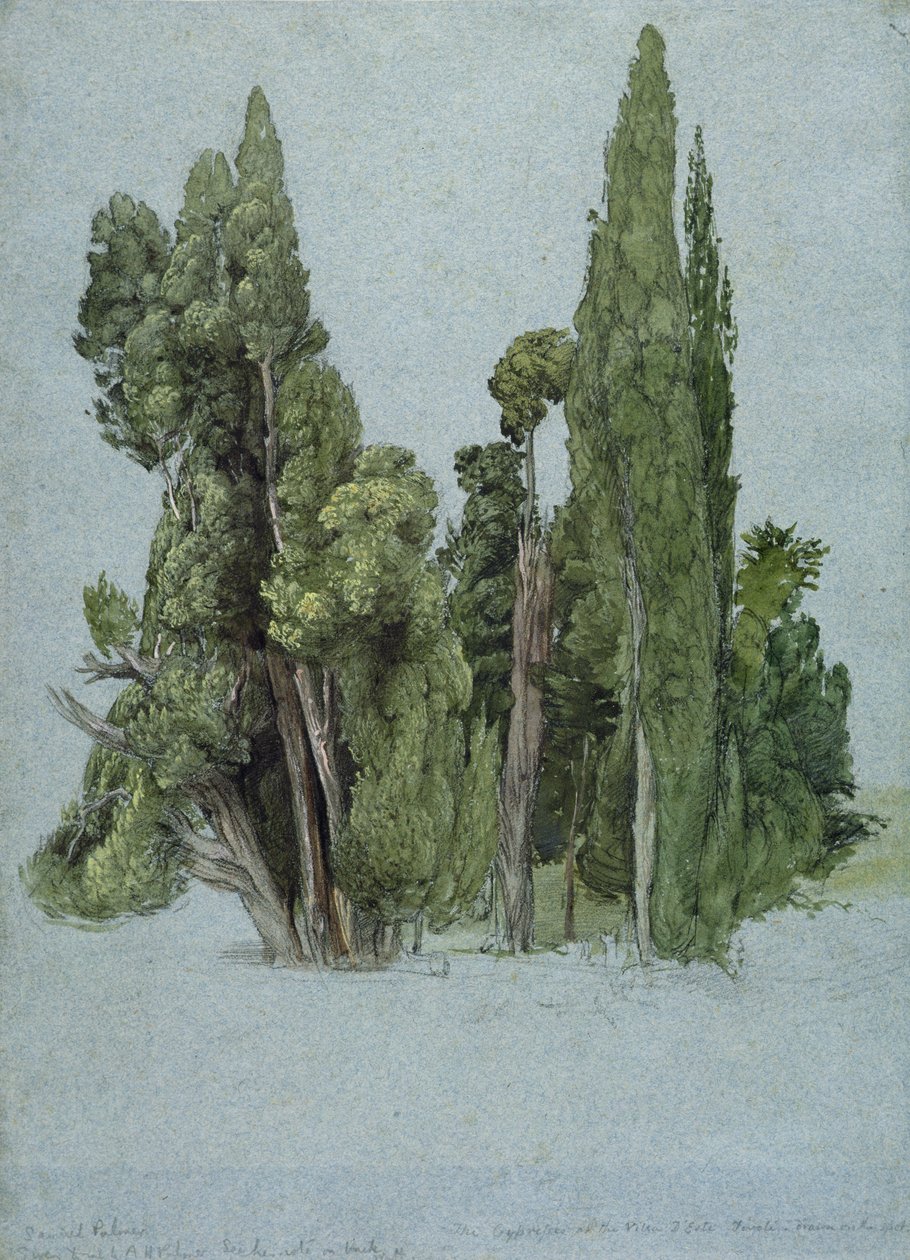位于蒂沃利德埃斯特别墅的柏树（wc und gouache with paper in paper） 作者 塞缪尔·帕尔默（Samuel Palmer）