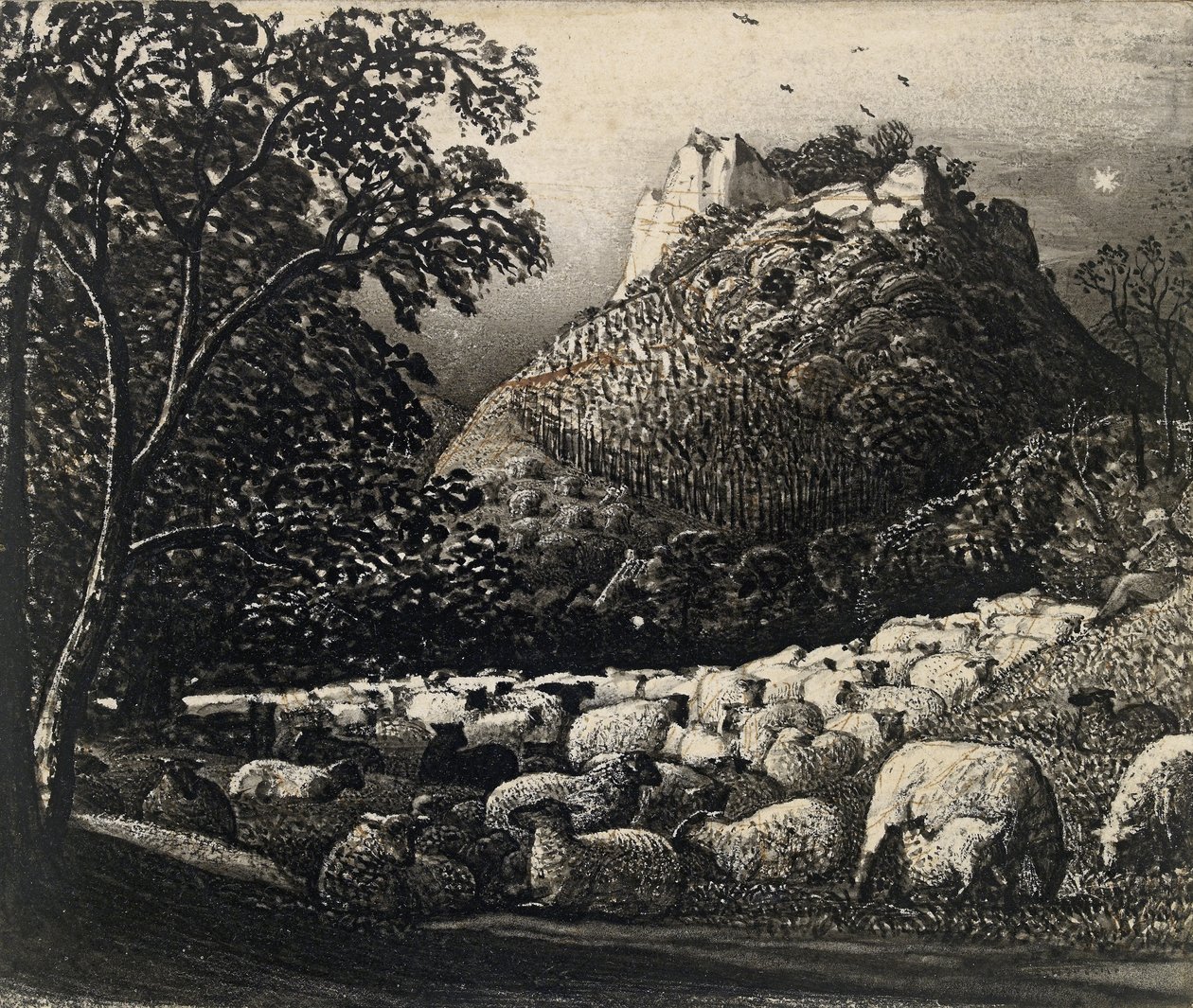 羊群和星星（钢笔和墨水刷在铅笔和墨水上） 作者 塞缪尔·帕尔默（Samuel Palmer）