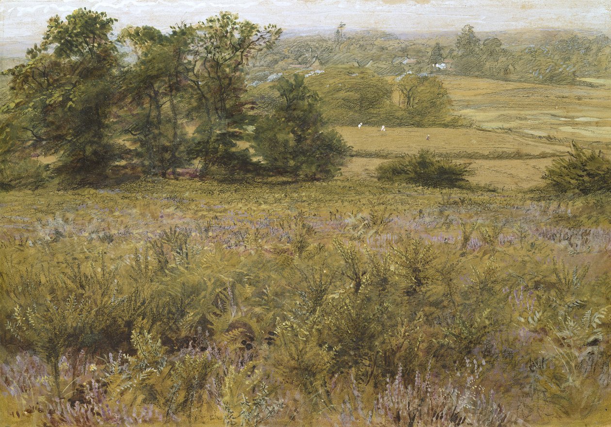 Furze Field，19世纪（水彩画） 作者 塞缪尔·帕尔默（Samuel Palmer）