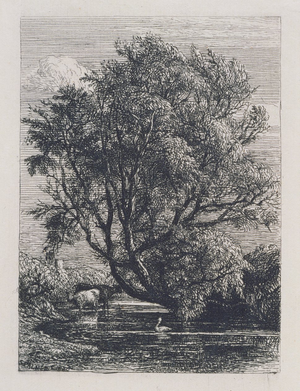 柳树 作者 塞缪尔·帕尔默（Samuel Palmer）