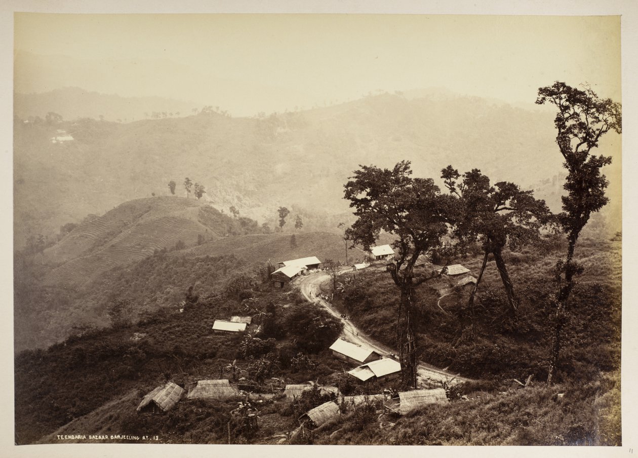 大吉岭 Teendari 集市，选自《大吉岭风景》，1860 - 1880 年（黑白照片） 作者 塞缪尔·伯恩