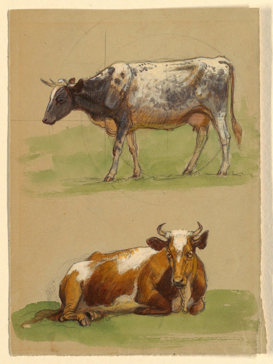 素描，牛，一头走着的牛和一头蹲着的牛，1875-80 年 作者 塞缪尔·科尔曼（Samuel Colman）