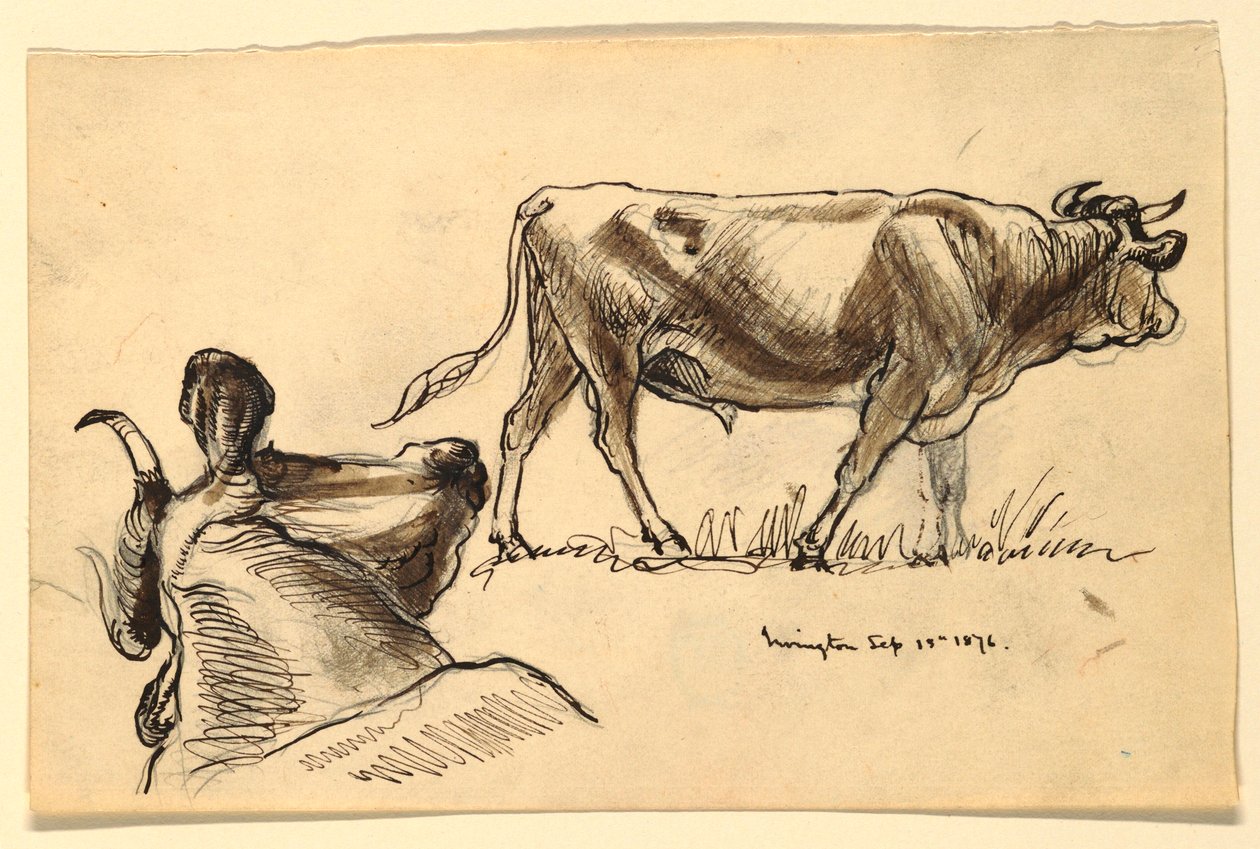素描牛，欧文顿，1876 年 9 月 作者 塞缪尔·科尔曼（Samuel Colman）